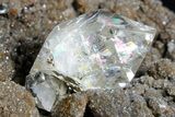 Plate of HUGE Herkimer Diamonds on Sparkling, Druzy Quartz #175393-7